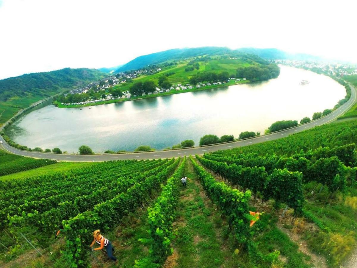크로프 Der Weinladen 아파트 외부 사진