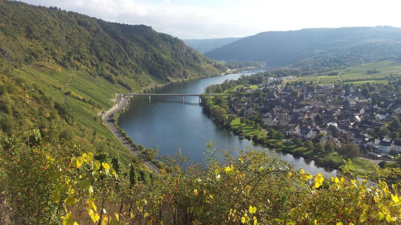 크로프 Der Weinladen 아파트 외부 사진